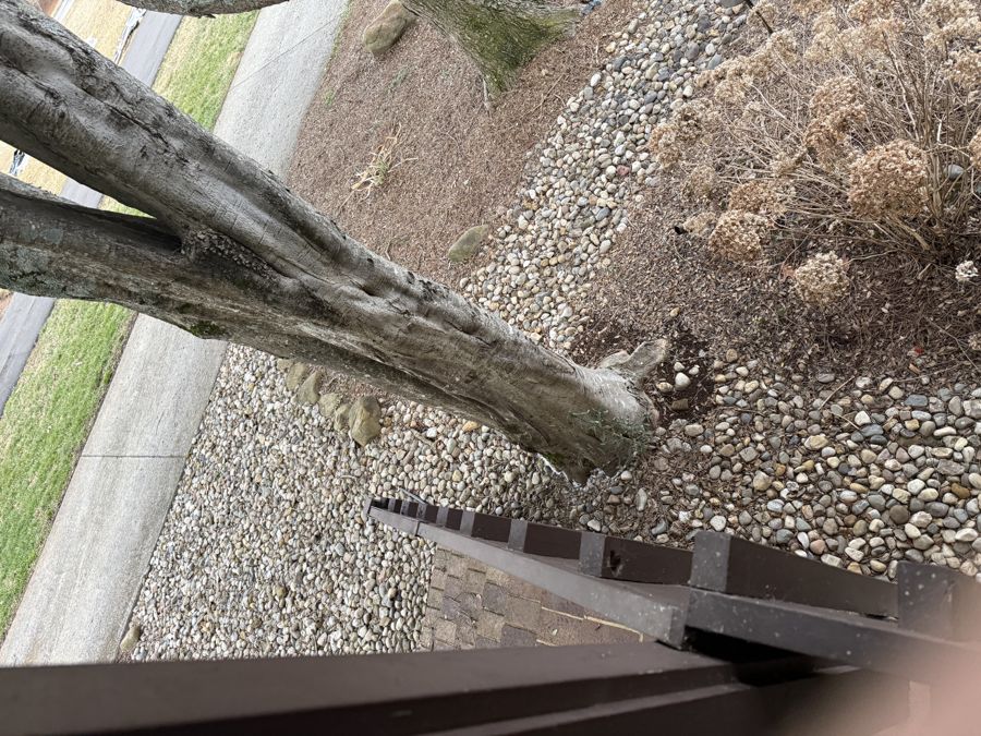 Existing river rock drainage area