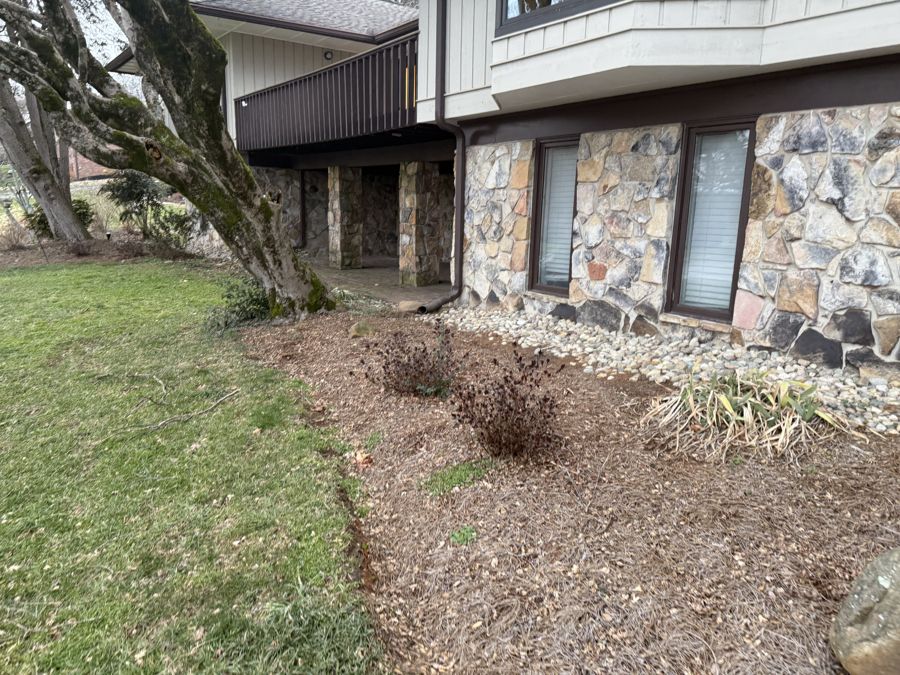 Nandina and dormant shrubs along stone wall