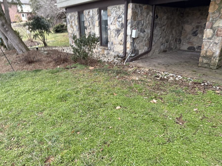 Lawn near stone foundation