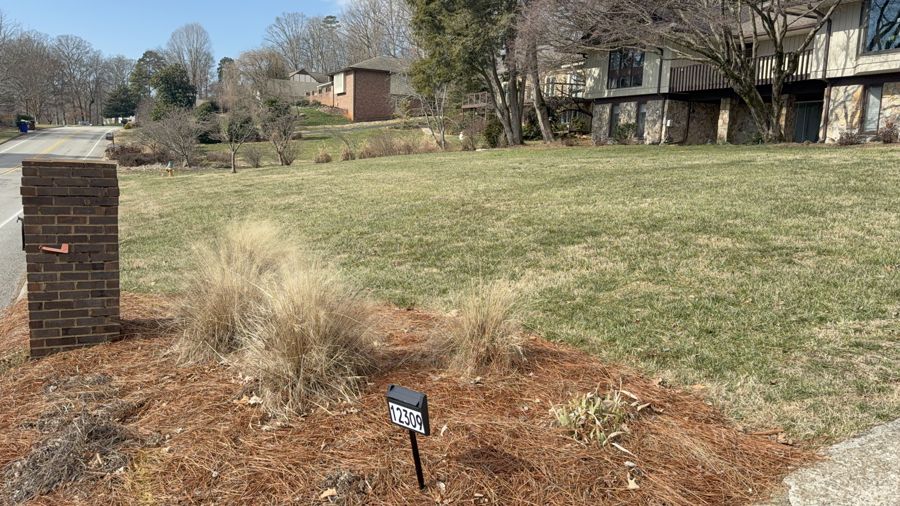 Crape Myrtle area near mailbox with ornamental grasses