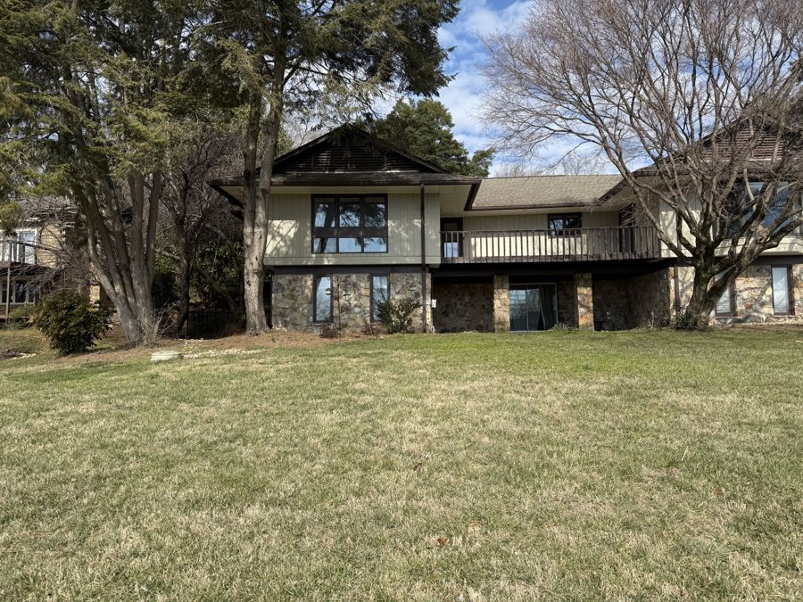 Multiple sycamores framing the house