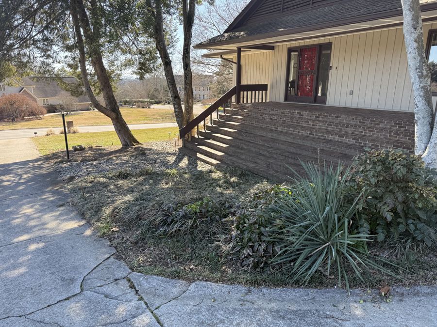 Yucca rosette near front steps with sword-like leaves
